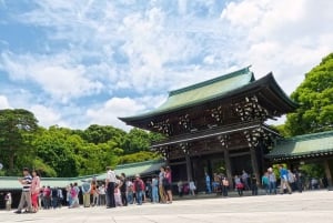 Highlight walking tour in Tokyo with licensed guide