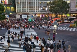 Highlight walking tour in Tokyo with licensed guide