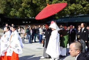 Hoogtepunten van Tokio Privétour met een gediplomeerde gids