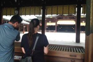 Hoogtepunten van Tokio Privétour met een gediplomeerde gids