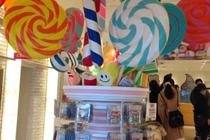 Hoogtepunten van Tokio Privétour met een gediplomeerde gids