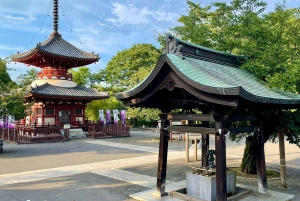 Historic Town of Kawagoe – Small town of Edo 3h Walking Tour