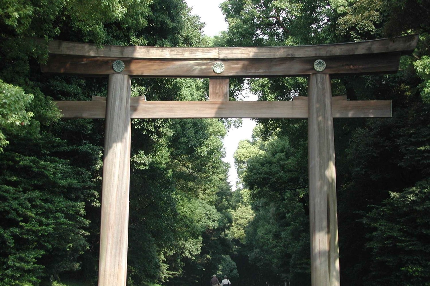 Geschichte und Gelassenheit im Meiji-Schrein und im Yoyogi-Park – Walking Tour