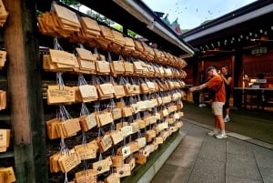 Geschichte und Gelassenheit im Meiji-Schrein und im Yoyogi-Park – Walking Tour