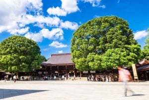Geschichte und Gelassenheit im Meiji-Schrein und im Yoyogi-Park – Walking Tour