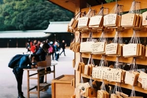 Geschichte und Gelassenheit im Meiji-Schrein und im Yoyogi-Park – Walking Tour