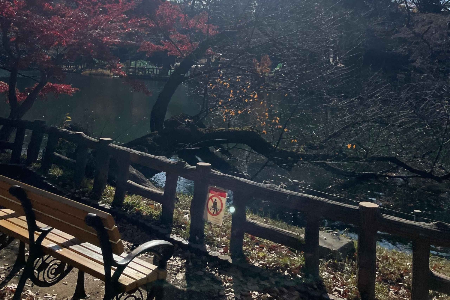 Inokashira Park: Guided Nature & Hidden Gems Walk