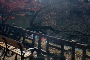 Inokashira Park: Guided Nature & Hidden Gems Walk