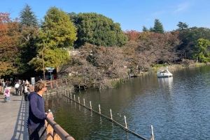 Inokashira Park: Guided Nature & Hidden Gems Walk