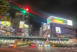 Inokashira Park: Guided Nature & Hidden Gems Walk