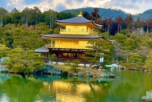 Japan: 10-Day Private Tour with Accommodation and Meals