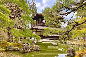 Japan: 10-Day Private Tour with Accommodation and Meals