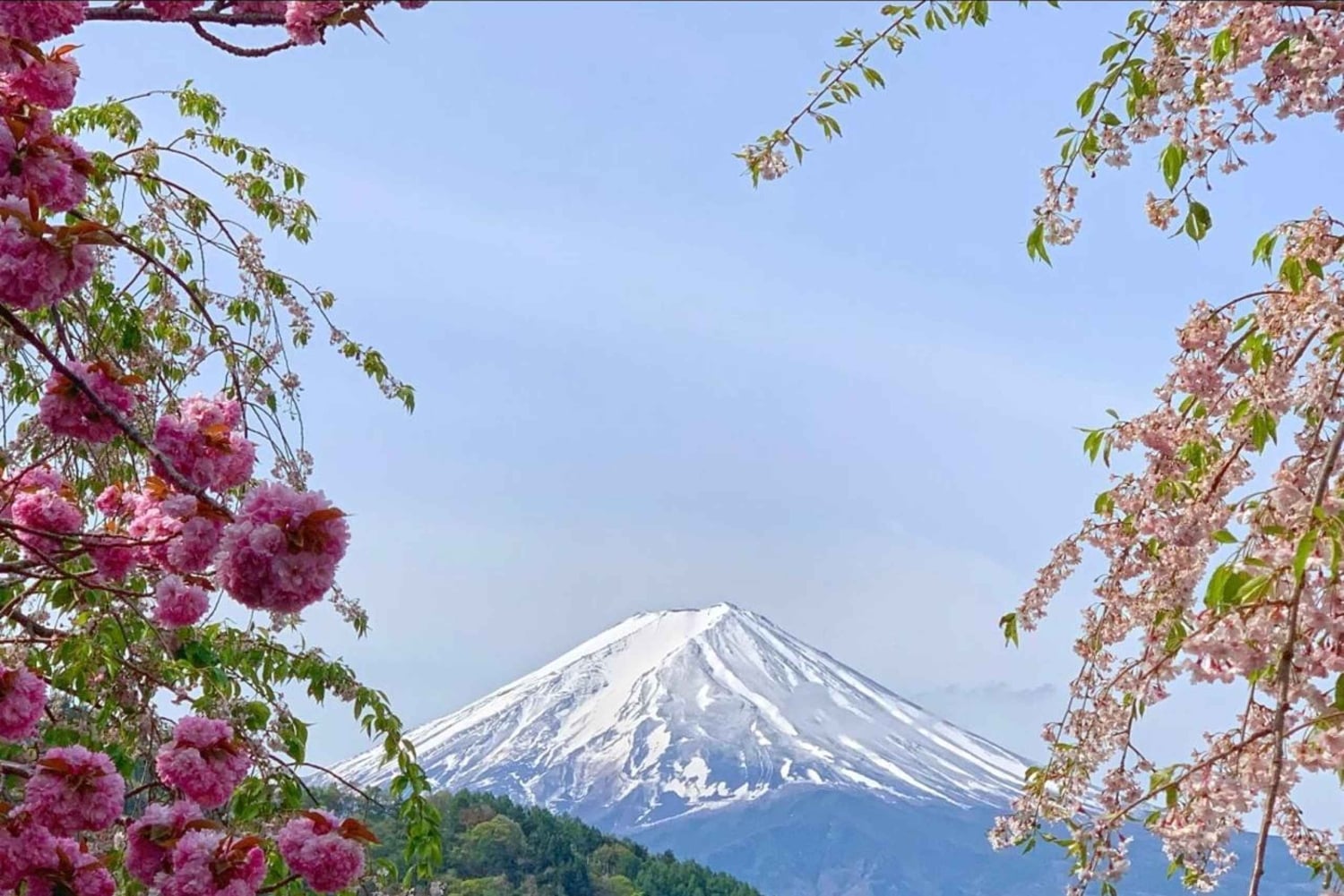 Japan: 4-dagars höjdpunkter med Fuji, Hakone, Nikko och snöapor