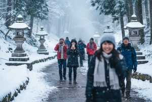 Japan: 4-dagars höjdpunkter med Fuji, Hakone, Nikko och snöapor