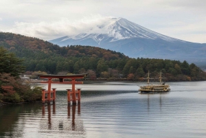 Japan: 4-dagars höjdpunkter med Fuji, Hakone, Nikko och snöapor