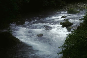 Japan: 4-dagars höjdpunkter med Fuji, Hakone, Nikko och snöapor