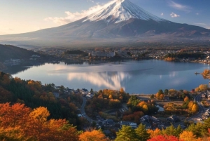 Japan: 4-dagars höjdpunkter med Fuji, Hakone, Nikko och snöapor