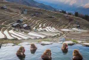 Japan: 4-dagars höjdpunkter med Fuji, Hakone, Nikko och snöapor