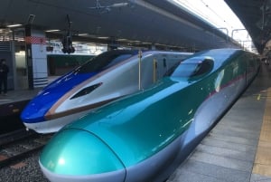 Japan: 7, 14 or 21-Day Japan Rail Pass