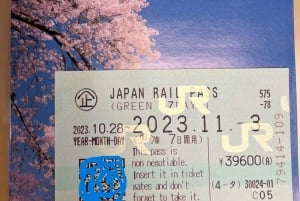 Japan: 7, 14 or 21-Day Japan Rail Pass