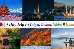 Desde Tokio: Tokio, Kioto, Osaka y Nikko Tour Privado de 7 Días