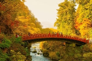 Desde Tokio: Tokio, Kioto, Osaka y Nikko Tour Privado de 7 Días