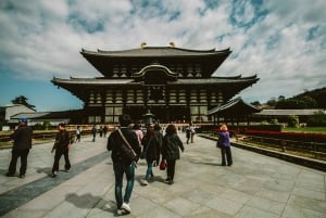 Desde Tokio: Tokio, Kioto, Osaka y Nikko Tour Privado de 7 Días