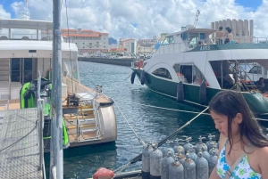 Japan: 7-dages tur til Tokyo, Osaka, Hiroshima og Okinawa