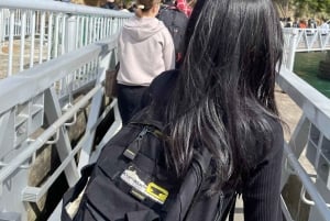 Japan: 7-dages tur til Tokyo, Osaka, Hiroshima og Okinawa