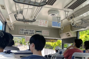 Japan: 7-dages tur til Tokyo, Osaka, Hiroshima og Okinawa