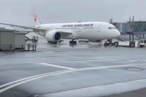 Japan: 7-dages tur til Tokyo, Osaka, Hiroshima og Okinawa