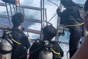 Japan: 7-dagars rundtur i Tokyo, Osaka, Kyoto och Hiroshima