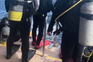 Japan: 7-dagars rundtur i Tokyo, Osaka, Kyoto och Hiroshima