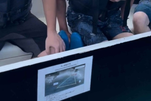 Japan: 7-dagars rundtur i Tokyo, Osaka, Kyoto och Hiroshima