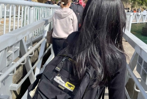 Japan: 7-dagars rundtur i Tokyo, Osaka, Kyoto och Hiroshima