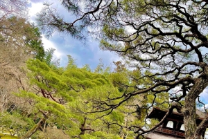 Japan: 7-dagars rundtur i Tokyo, Osaka, Kyoto och Hiroshima