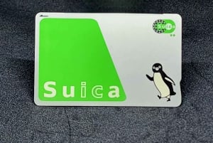 Japan JR IC Train Card