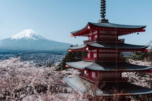 Ultimativ Fuji-fotograferingsekspedition: Skjulte perler