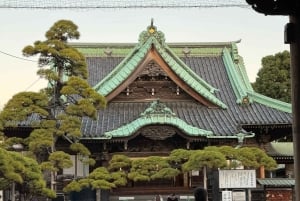 Japan Time-Travel Road: Edo to Modern Tokyo