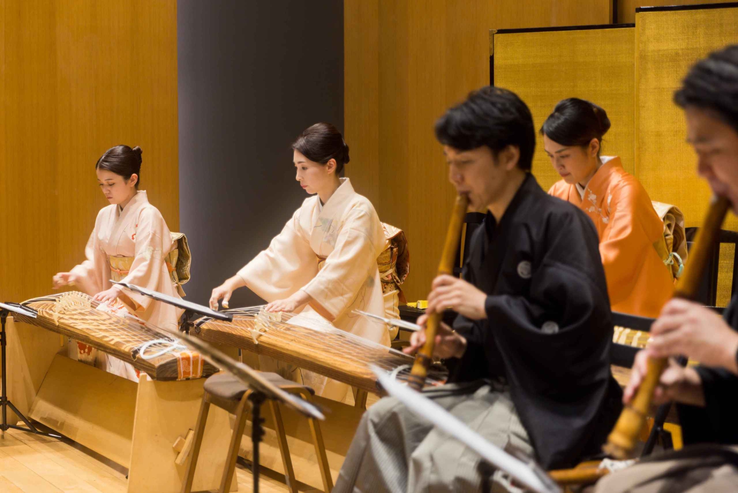 Japanese Traditional Music Show in Tokyo
