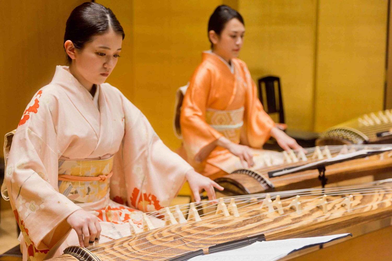 Japanese Traditional Music Show in Tokyo