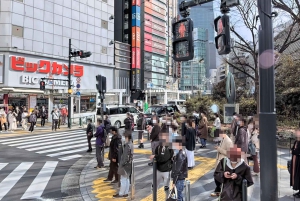 Kabukicho Macabre Tour - the Real Tokyo Vice