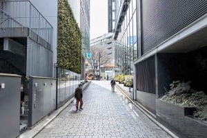 Kabukicho Macabre Tour - prawdziwa tokijska obyczajówka