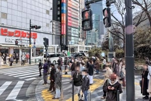 Kabukicho Macabre Tour - prawdziwa tokijska obyczajówka