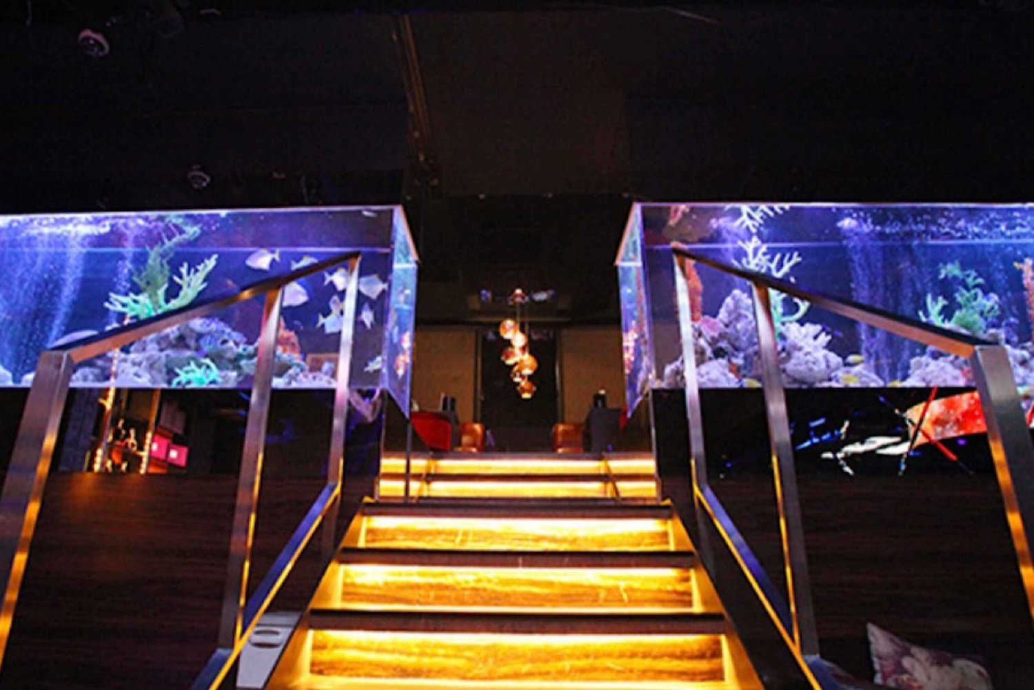 Kabukicho, Shinjuku: japanilaisen isäntäklubin kokeminen