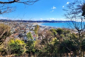 Privat och anpassningsbar tur i Kamakura – en upplevelse som innehåller allt
