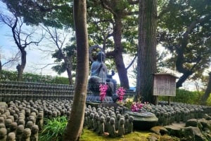 Privat och anpassningsbar tur i Kamakura – en upplevelse som innehåller allt