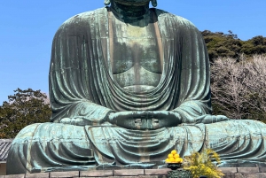 Kamakura and Enoshima: Private Guided Day Tour with Vehicle
