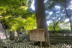 Kamakura and Enoshima: Private Guided Day Tour with Vehicle