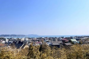 Kamakura and Enoshima: Private Guided Day Tour with Vehicle
